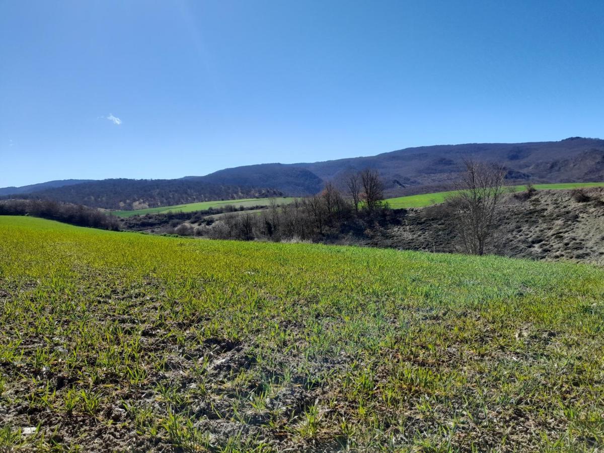 Maitia Villa Larraona Eksteriør bilde